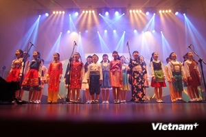 Une fête musicale pour la diaspora vietnamienne de R. de Corée