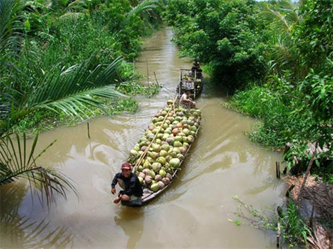 Bientôt le 4e festival de la noix de coco à Bên Tre