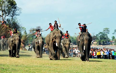 Đắk Lắk khai mạc Lễ hội đua voi năm 2014 