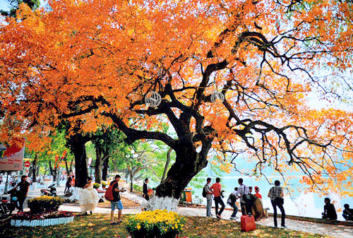 Hanoi dans le top 10 des meilleures destinations touristiques du monde