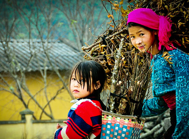 Edifier des valeurs humaines et culturelles du Vietnam