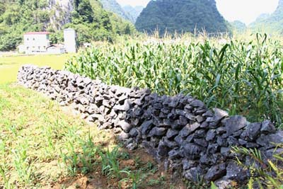 Les murets en pierre, une particularité de Phuc Sen