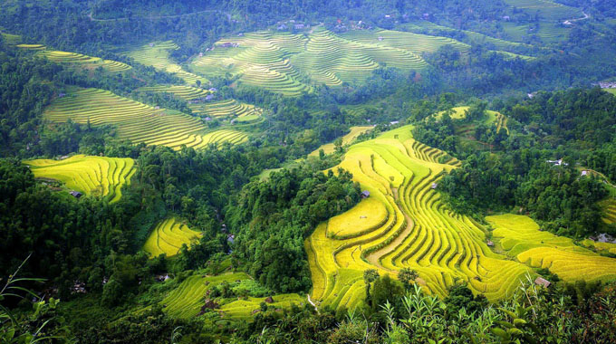 Semaine culturelle et touristique des rizières en terrasse de Hoang Su Phi 2015