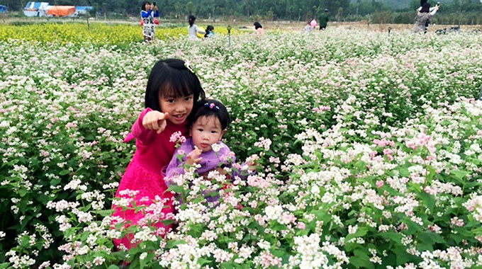 Thưởng ngoạn vẻ đẹp lãng mạn tại các làng hoa ở Hoành Bồ (Quảng Ninh)