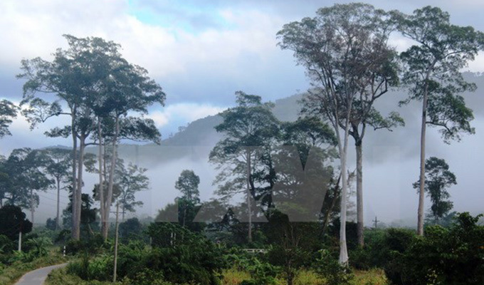 Vườn quốc gia Phước Bình, điểm đến hấp dẫn của Ninh Thuận