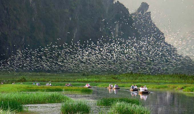 Khách nội địa đến Khu du lịch sinh thái Vân Long (Ninh Bình) tăng 20%
