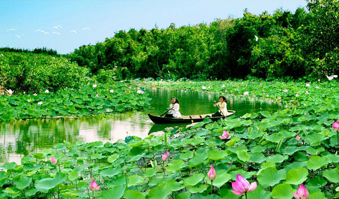 Dông Thap est prêt pour la Fête des fleurs de lotus
