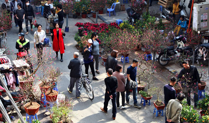 Hàng Luoc, marché aux fleurs du printemps