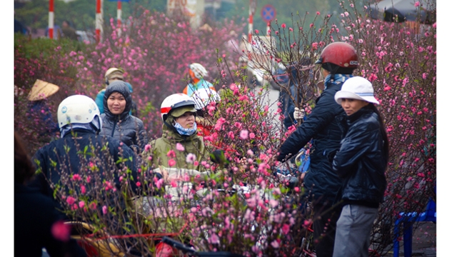 CNN : Le marché aux fleurs de Quang Ba est l’une des 14 destinations idéales pour le Nouvel An lunaire