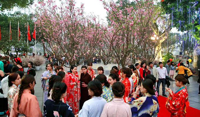 Une riche palette d’activités à la Fête d'échanges culturels Viet Nam-Japon