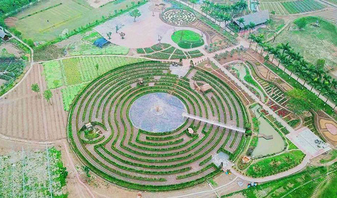 Mê cung bằng cây rộng 10.000 m2 ở ngoại thành Hà Nội 