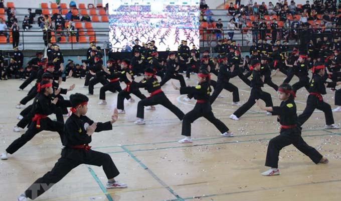 Ouverture de deux festivals d'arts martiaux traditionnels à Ho Chi Minh-Ville