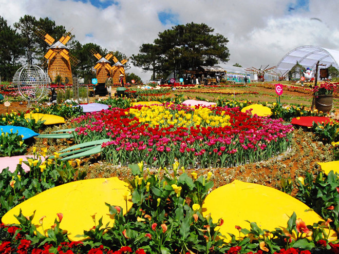 Lâm Đồng: Festival hoa Đà Lạt lần thứ 9 dự kiến diễn ra vào cuối tháng 12/2022