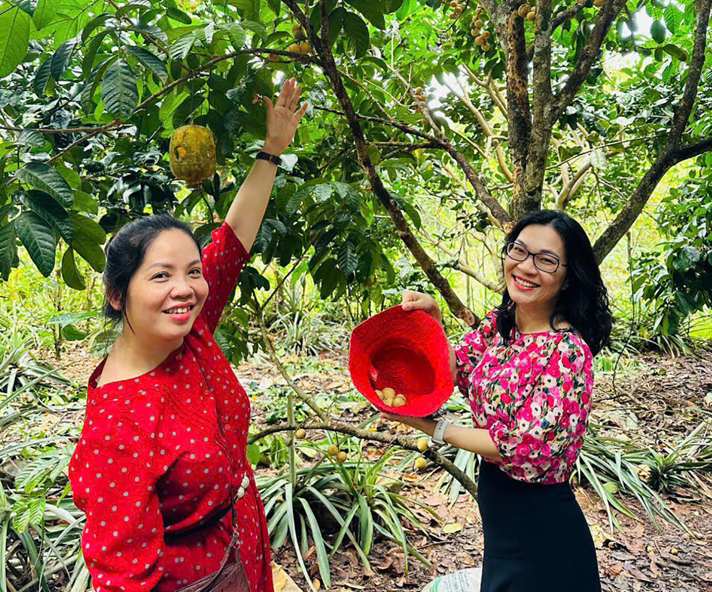 Bà Rịa - Vũng Tàu: Bồi dưỡng kiến thức về du lịch cộng đồng