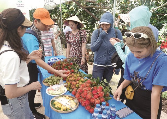 Bình Thuận khảo sát tour du lịch nông nghiệp Đồng Nai