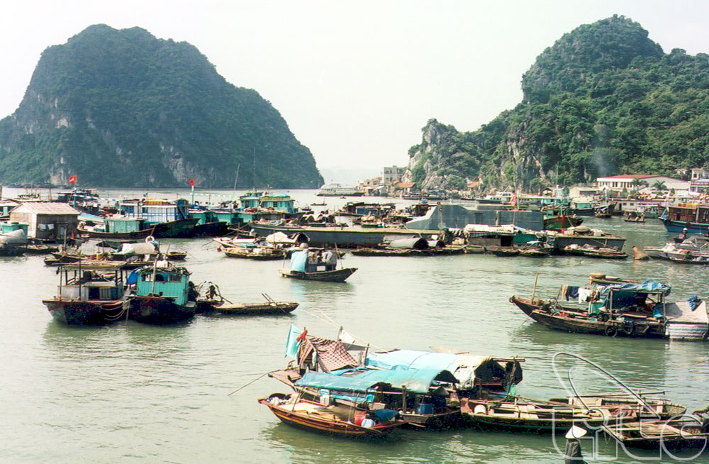 Tourisme communautaire dans les villages de pêche à Quang Ninh