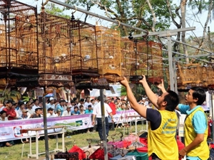 Riches activités au Festival de Hue 2014