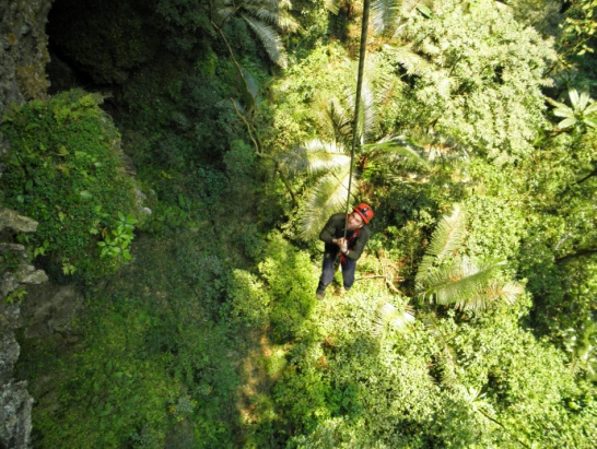 Quang Binh : 39 nouvelles grottes découvertes à Phong Nha-Ke Bang