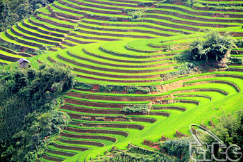 Semaine culturelle, sportive et touristique intitulée « pittoresque national, rizières en gradins de Mu Cang Chai 2012 »