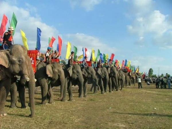 Tây Nguyên : Fête des éléphants de Dak Lak