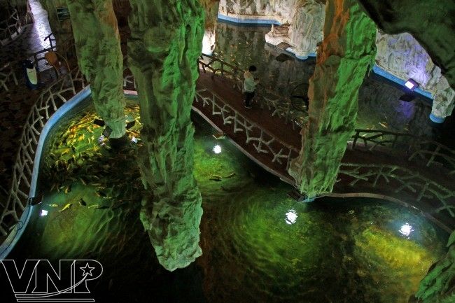L’Aquarium du Parc Paradis Bao Son