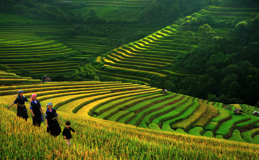 Le Vietnam au 2e rang mondial en termes de tourisme bon marché