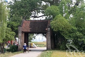 Đề xuất giữ trọn vẹn cấu trúc làng cổ Đường Lâm 