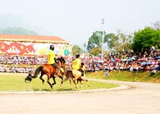 Lào Cai sẽ đón hơn 1 vạn khách du lịch đến Bắc Hà dịp diễn ra giải đua ngựa