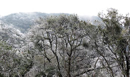 Ngỡ ngàng băng tuyết đẹp “như mơ” trong ngày đầu năm ở Cao Bằng