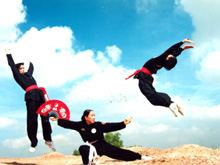 Bế mạc Liên hoan quốc tế võ cổ truyền tại Bình Định