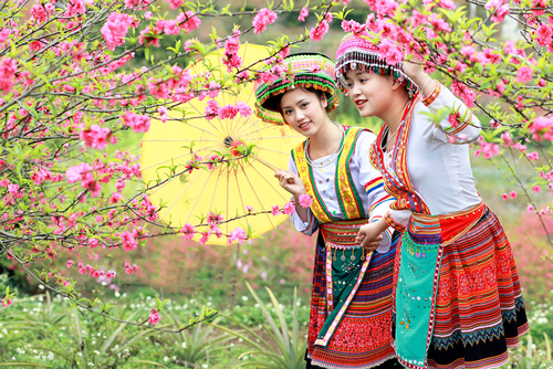 Couleurs du printemps dans l’ensemble du pays se réunissent à Hanoi